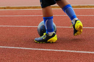 开云体育登录入口-NBA球员训练营最新发展动态，nba球员日常训练项目