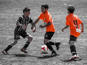 开云体育下载-NBA球员训练营活动，nba球员训练营活动安排